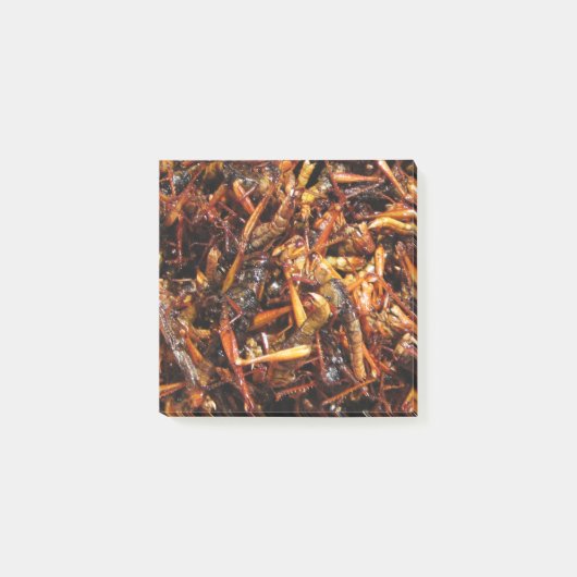 Post-it® Grasshopper frit (Takkataen Thot) Alimentation asi (Devant)