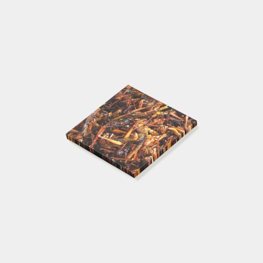 Post-it® Grasshopper frit (Takkataen Thot) Alimentation asi (Incliné)