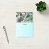 Post-it® Gray Kitty Chat (Bureau)