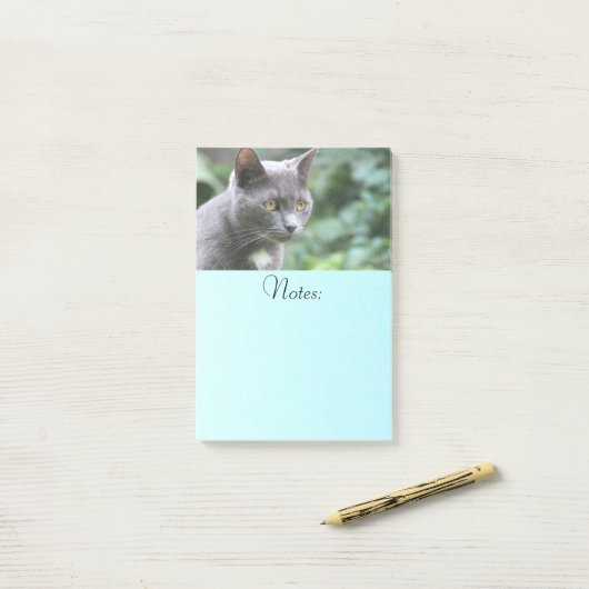Post-it® Gray Kitty Chat (Sur un bureau)