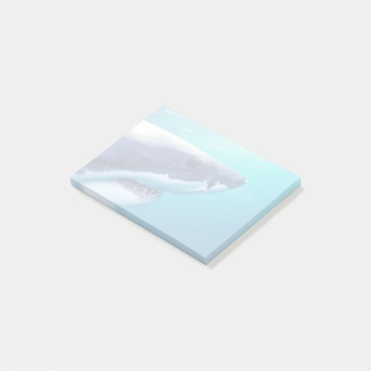 Post-it® Great White Shark | Afrique du Sud (Incliné)