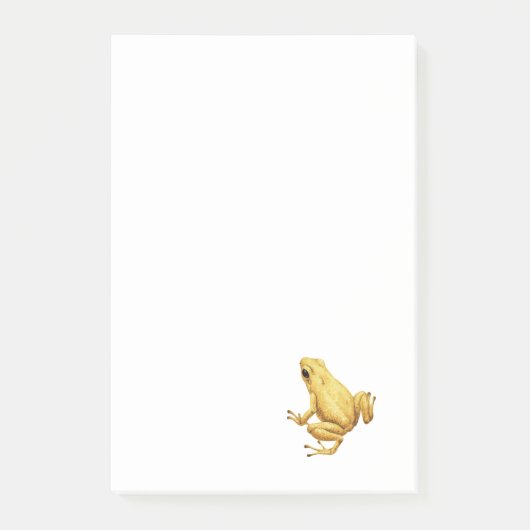 Post-it® grenouille à fléchettes (Devant)