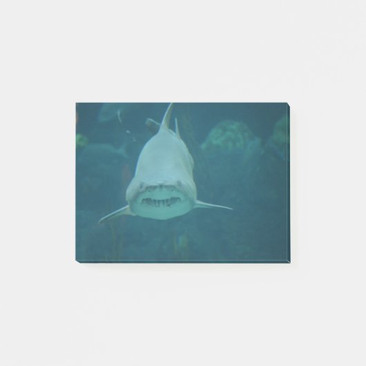 Post-it® Grimacerie du requin (Devant)