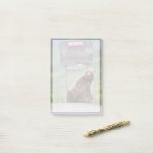 Post-it® Grizzly Bear Plays With Sign (Sur un bureau)