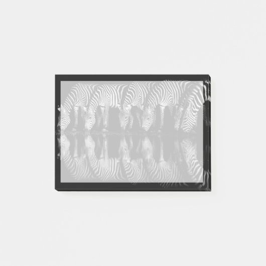 Post-it® Groupe de zèbres des plaines buvant ensemble la nu (Devant)