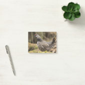 Post-it® Groupement fier (Bureau)