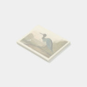 Post-it® Grue bleue Héron Impression Audubon Art côtier (Incliné)