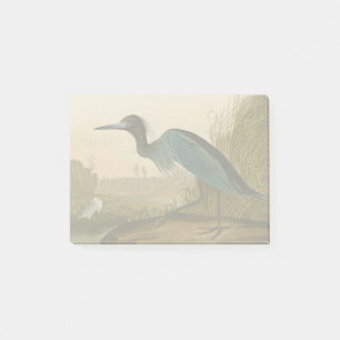 Post-it® Grue bleue Héron Impression Audubon Art côtier