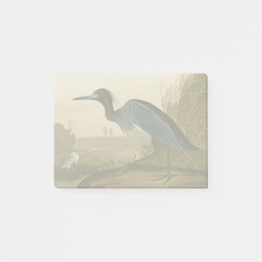 Post-it® Grue bleue Héron Impression Audubon Art côtier (Devant)