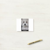 Post-it® Havanese (Sur un bureau)