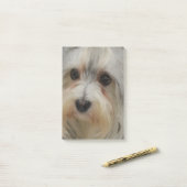 Post-it® Havanese (Sur un bureau)