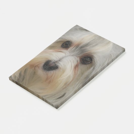 Post-it® Havanese (Incliné)