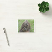 Post-it® Havanese mignon (Bureau)