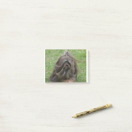 Post-it® Havanese mignon (Sur un bureau)