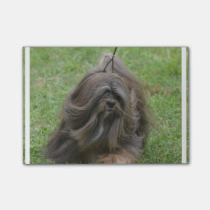 Post-it® Havanese mignon
