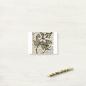 Post-it® HAZ26 Amazonie 4.tif (Sur un bureau)