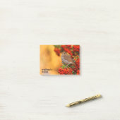 Post-it® Hermite Thrush Songbird sur l'araignée de feu (Sur un bureau)