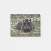 Post-it® Hippo regarde la caméra depuis la rivière (Devant)