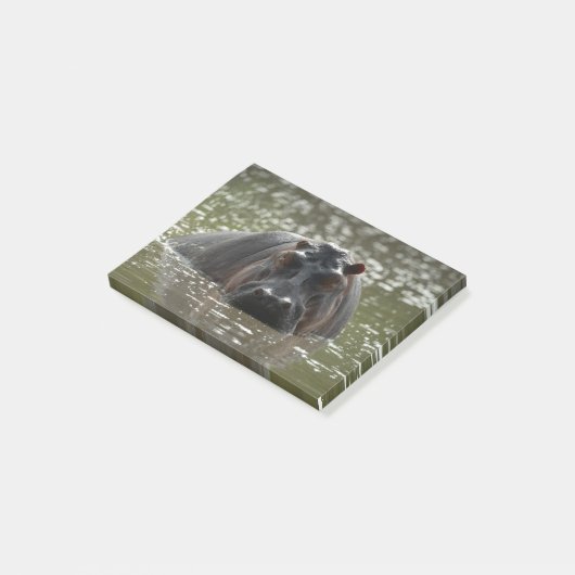 Post-it® Hippo regarde la caméra depuis la rivière (Incliné)