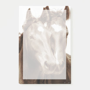 Post-it® Horse Portrait III