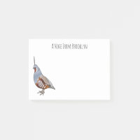 Illustration d'oiseau de caille de montagne