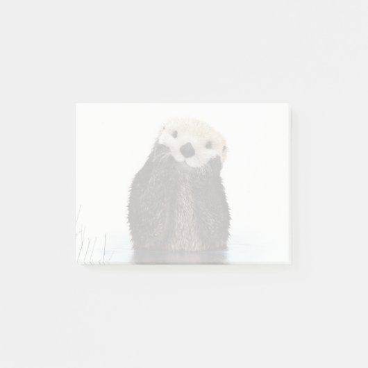 Post-it® Image de la faune de Cute Otter (Devant)