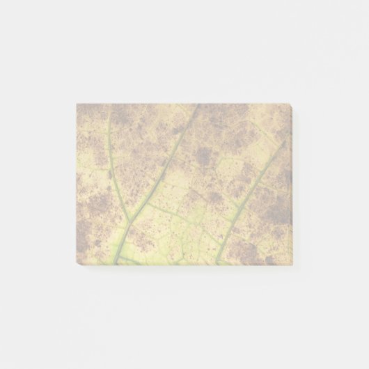 Post-it® Image Macro Terre Jaune et Brown feuille (Devant)