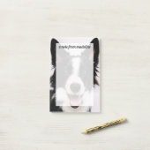 Post-it® Images de Getty | A border collie de sourire (Sur un bureau)