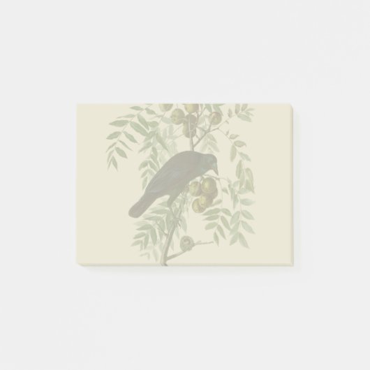Post-it® Impression d'oiseau Grackle violet d'Audubon Botan (Devant)