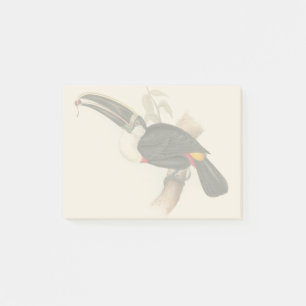 Post-it® Impression du Toucan de Cuvier : Oiseau Tropical V