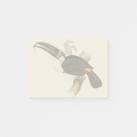 Post-it® Impression du Toucan de Cuvier : Oiseau Tropical V (Devant)