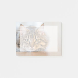 Post-it® Insérez votre propre photo d'animal de compagnie