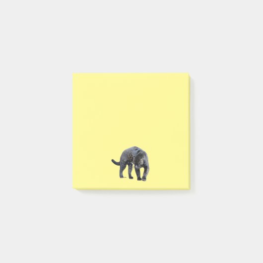 Post-it® Jaguar Diablo (Devant)