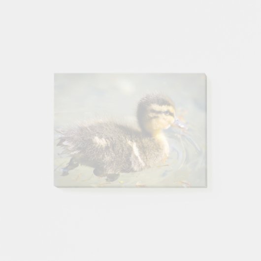 Post-it® Jeune canard de bébé (Devant)