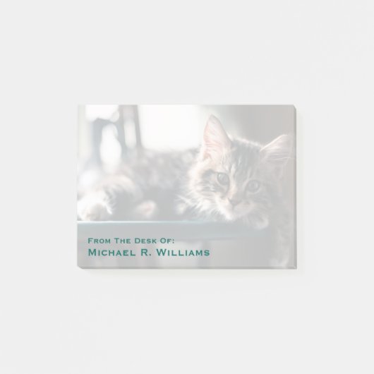 Post-it® Jeune chat tigré masculin 2 (Devant)