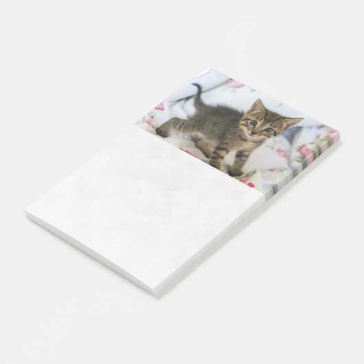 Post-it® Joli chaton tabby surpris (Incliné)
