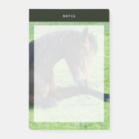 Joli Cheval Brown allongé dans l'herbe