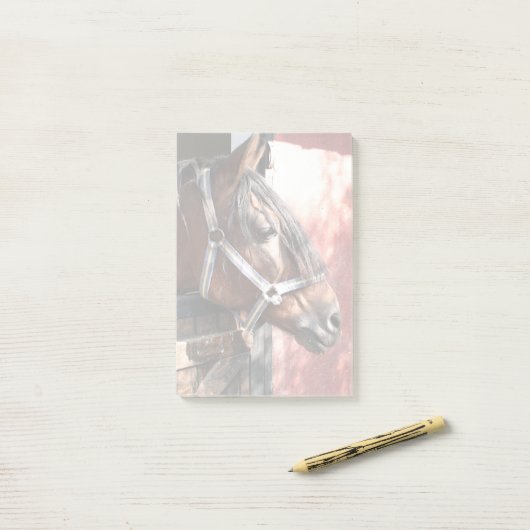 Post-it® Joli Cheval de Baie dans un soleil stable (Sur un bureau)