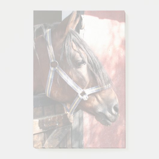 Post-it® Joli Cheval de Baie dans un soleil stable (Devant)