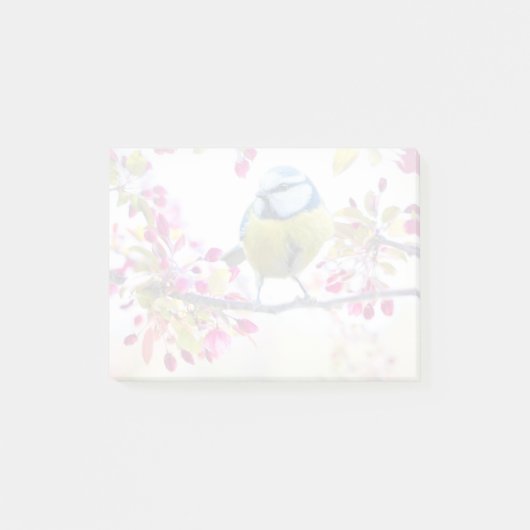 Post-it® Joli oiseau bleu et jaune sur une branche Photogra (Devant)