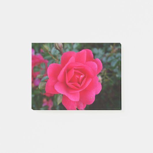 Post-it® jolie photo de rose rose (Devant)