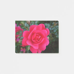 Post-it® jolie photographie de fleur de rose rose