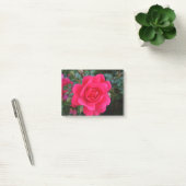 Post-it® jolie photographie de fleur de rose rose (Bureau)