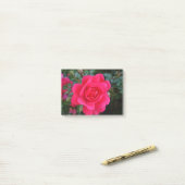 Post-it® jolie photographie de fleur de rose rose (Sur un bureau)