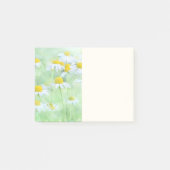 Post-it® Jolies marguerites dans une photo de terrain (Devant)
