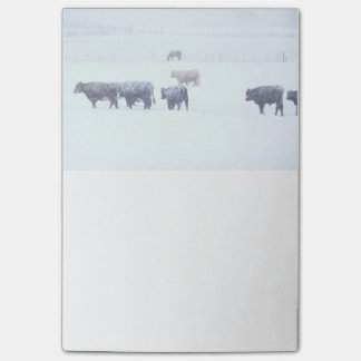 Post-it® Jours d'hiver