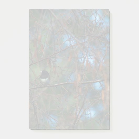 Post-it® Junco (Devant)