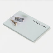 Post-it® Junco à ardoise foncée sur l'arbre à poires (Incliné)