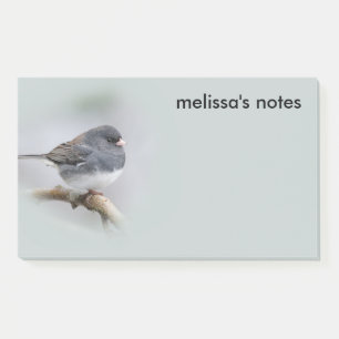 Post-it® Junco à ardoise foncée sur l'arbre à poires