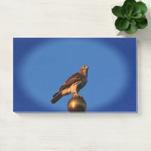 Post-it® Kansas Hawk sur un mât de drapeau (Bureau)